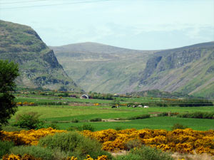 dingle03small