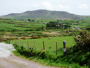 dingle06small