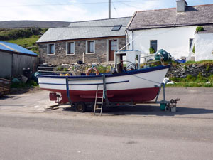 dingle11small