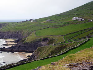 dingle14small