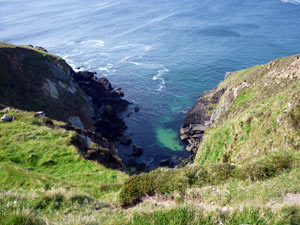 dingle20small