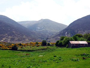 dingle20small