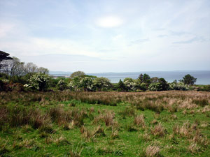 dingle20small