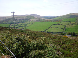 dingle20small