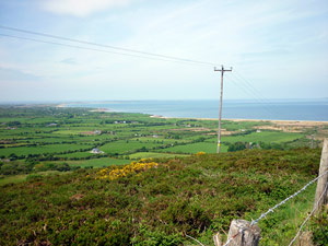 dingle20small
