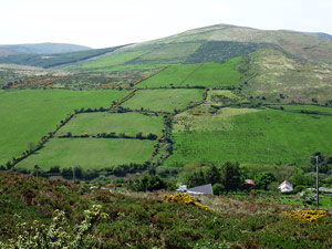 dingle20small