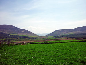 dingle20small