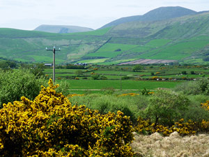 dingle20small