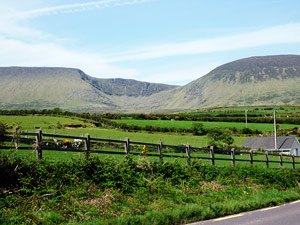 dingle20small
