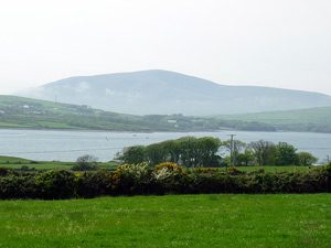 dingle20small