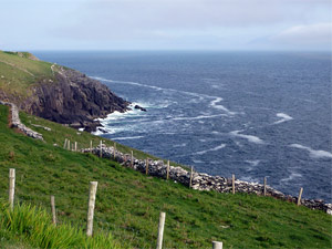 dingle20small