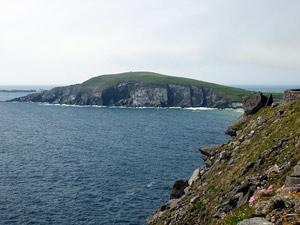 dingle20small