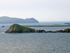 dingle20small
