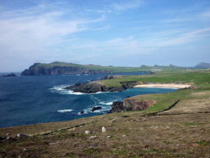 dingle20small