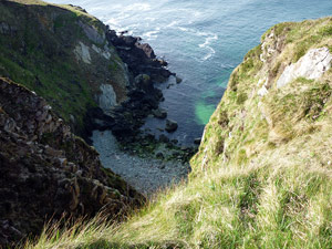 dingle20small