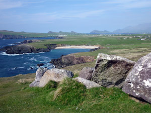 dingle20small