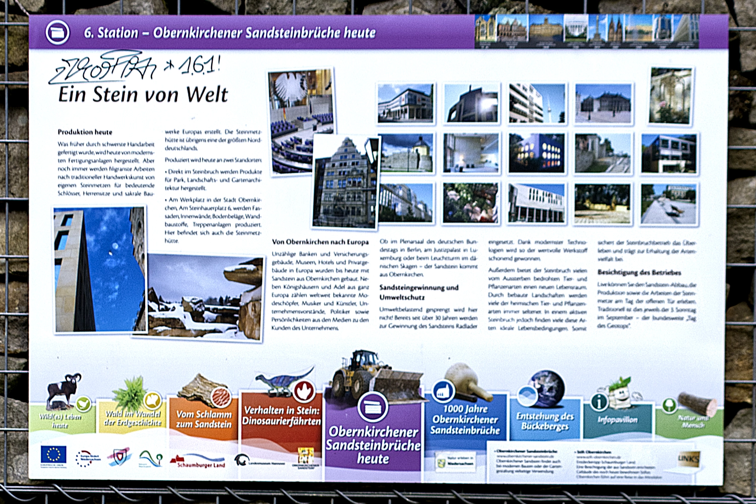 dino14halb