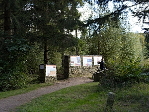 dino20small