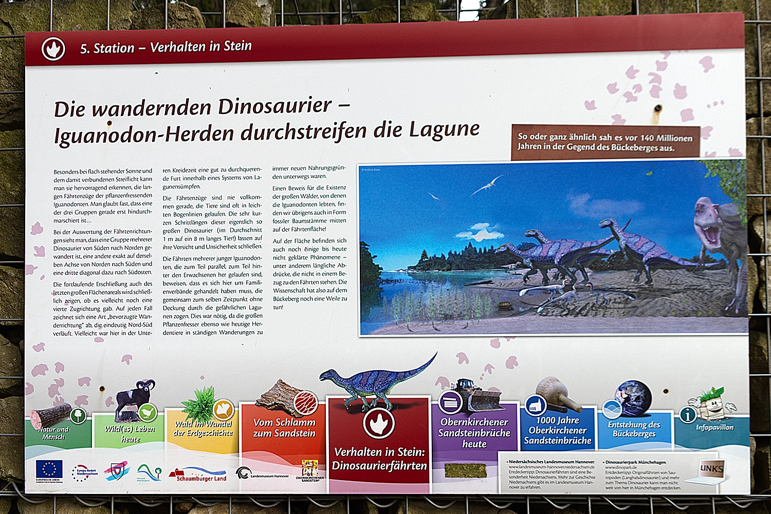 dino23halb