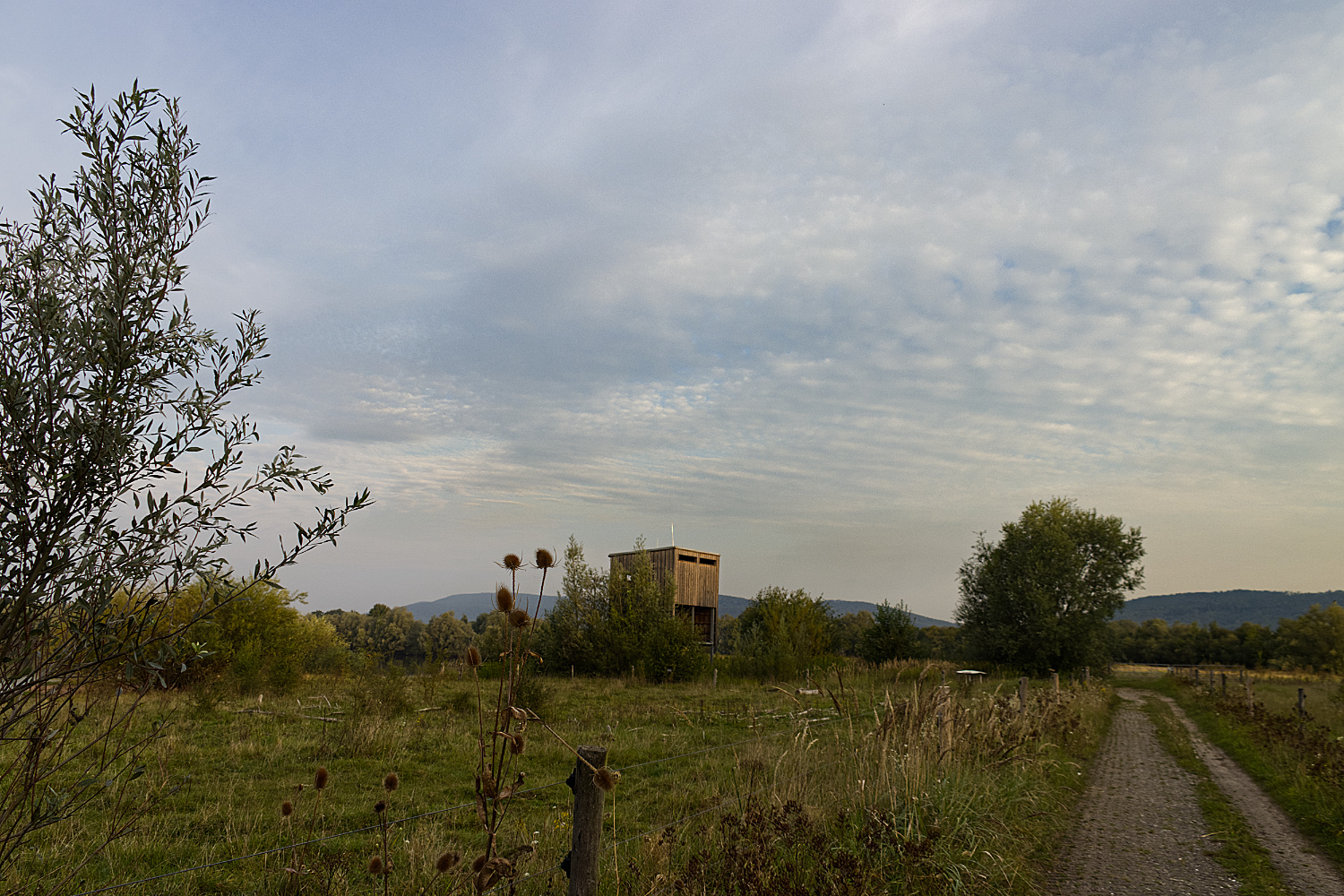 hohenrode34halb