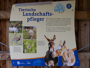 hohenrode36small