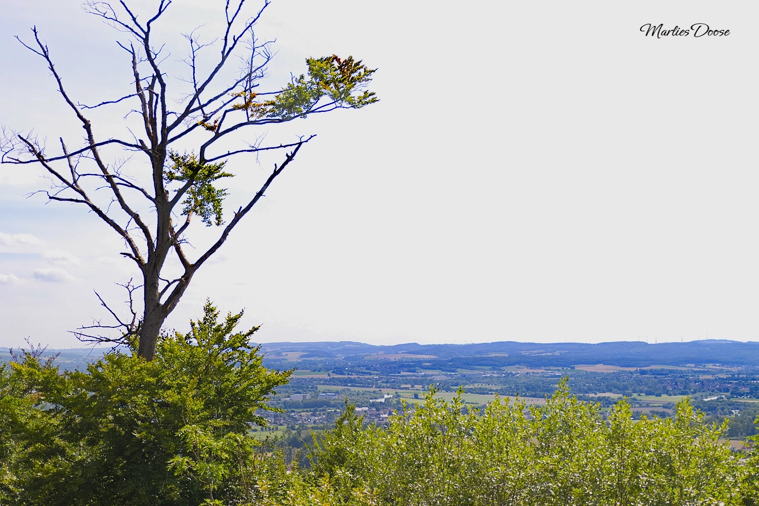 ausblick01 small