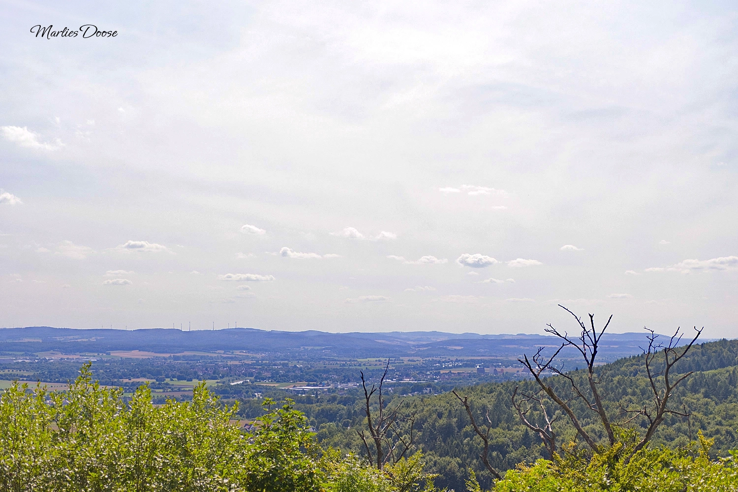 ausblick02 small
