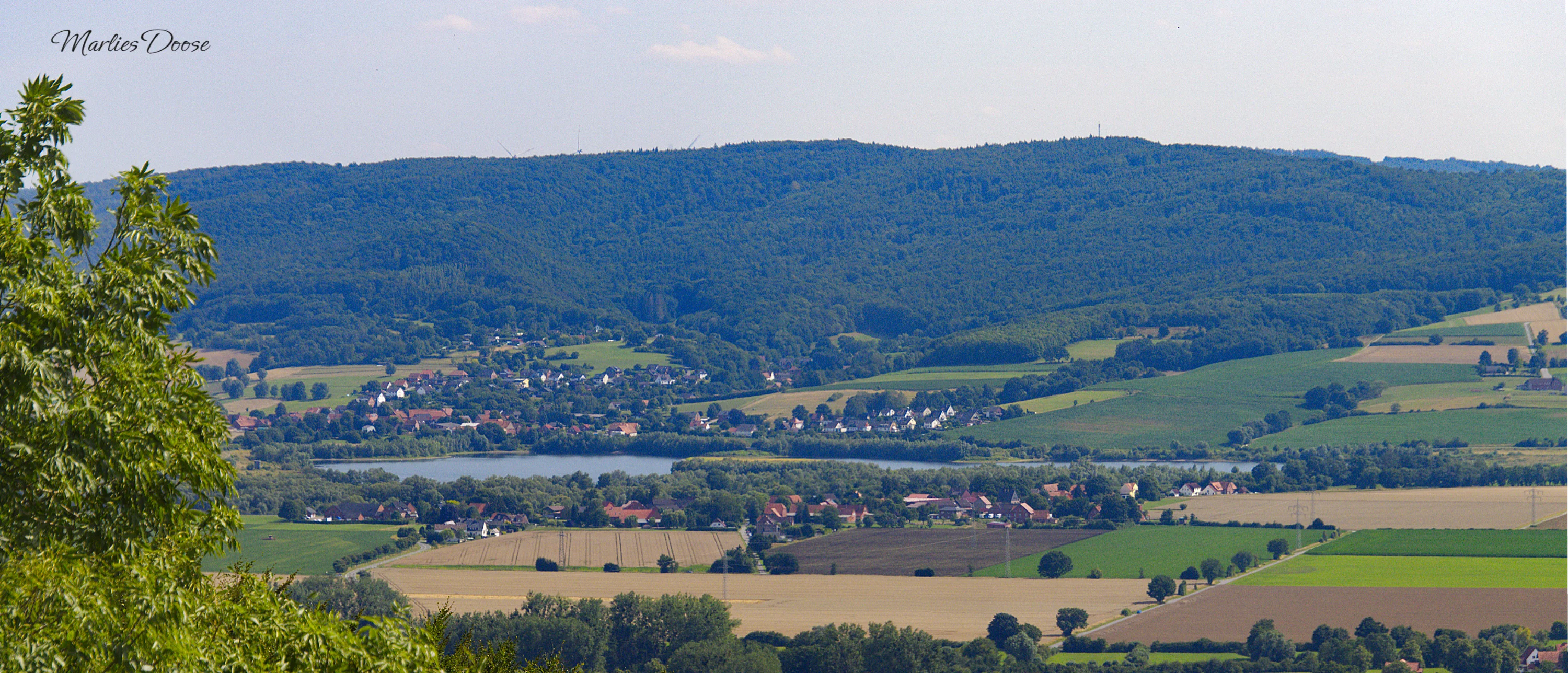 panorama01 small