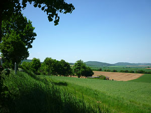 landschaft041small