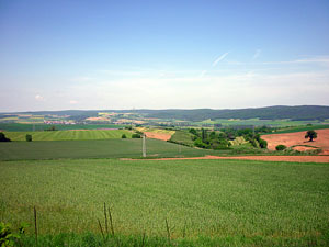 landschaft043small