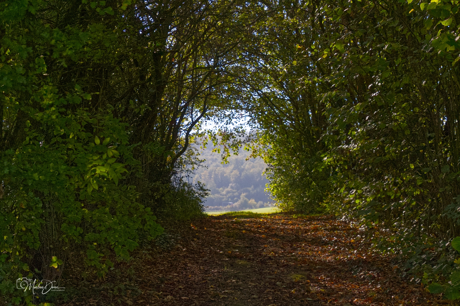 herbst panorama01small