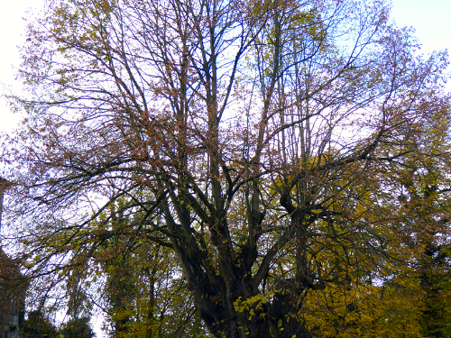 herbst03small
