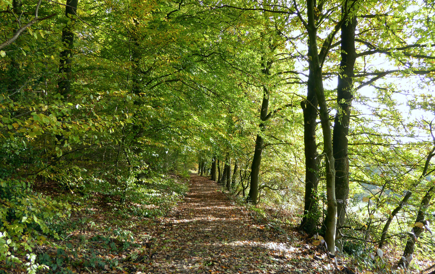 herbst panorama01small