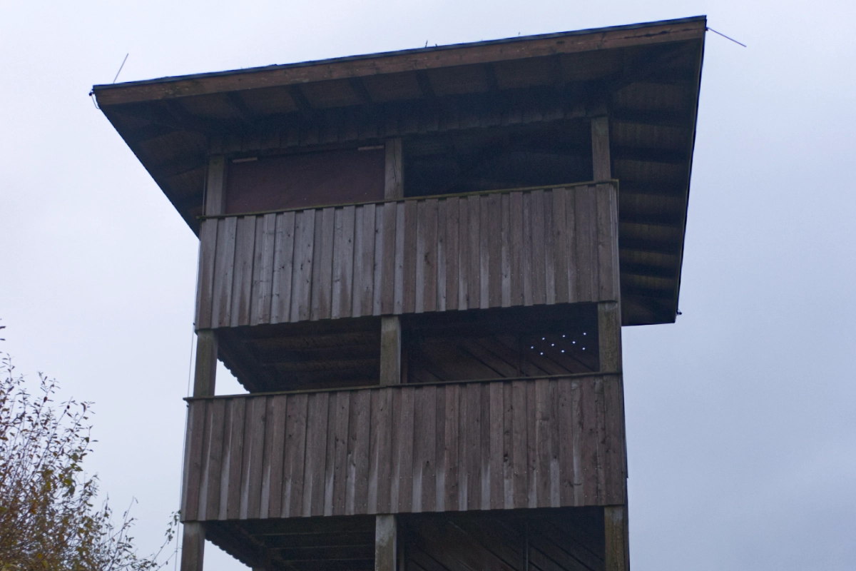 kranich12halb
