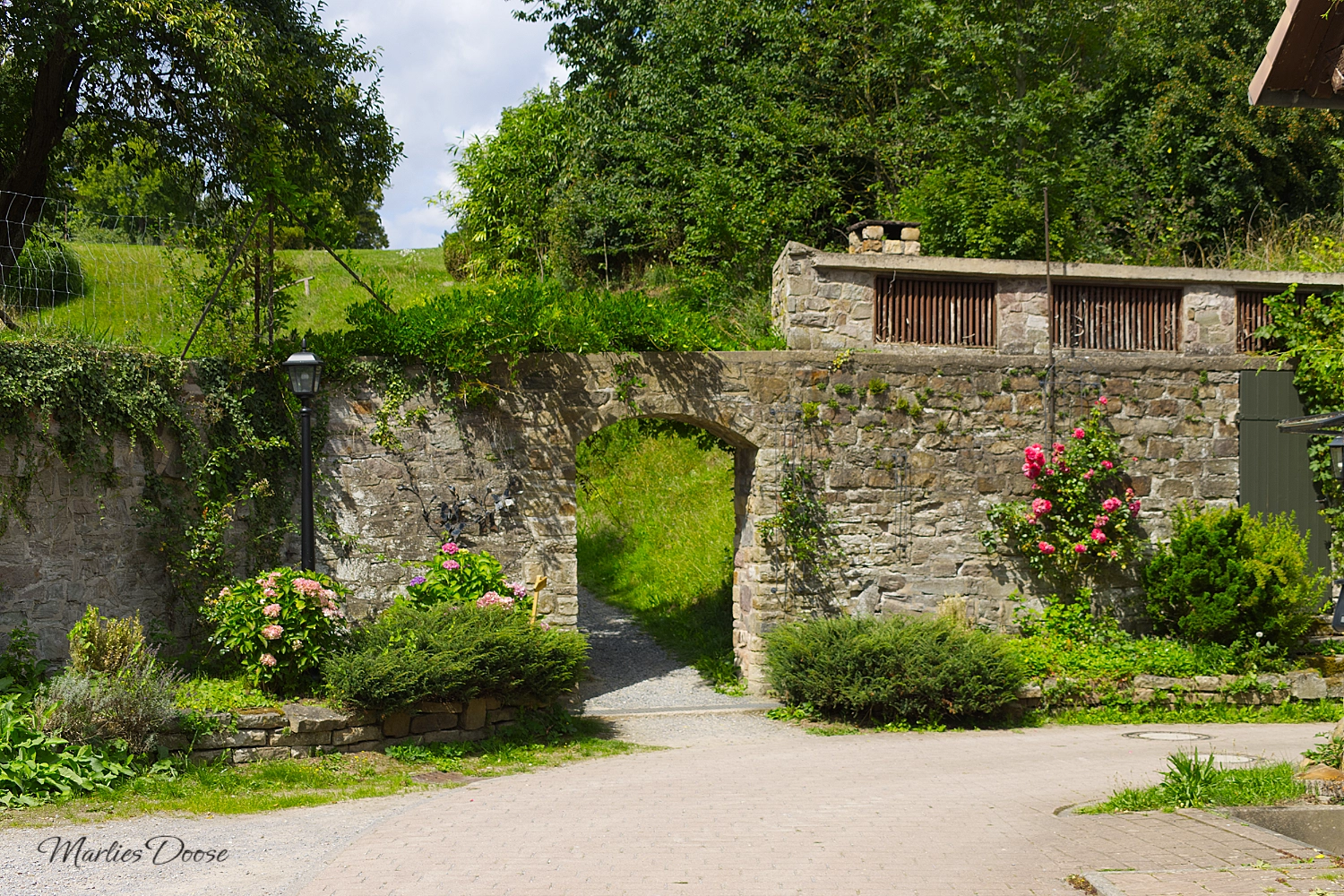 burg36small