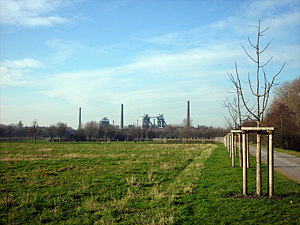 park02small