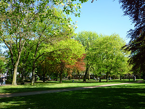 park02small