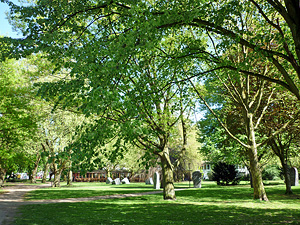 park05small