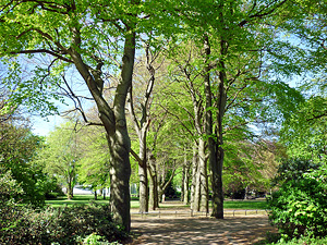 park10small