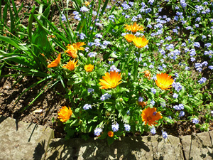 park15small