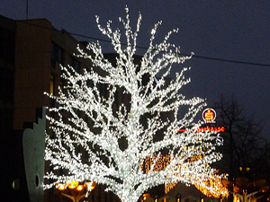 weih01small