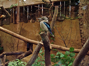 zoo01small