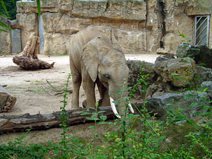 zoo01small