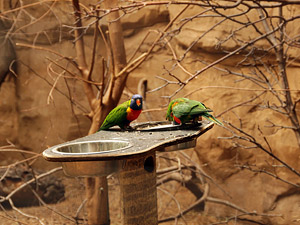 zoo01small