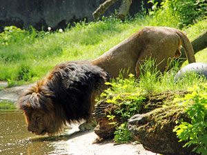 zoo01small
